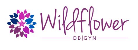 Wildflower obgyn - Wildflower OBGYN Womens Center is located in Collin County of Texas state. On the street of Milrany Lane and street number is 3122. To communicate or ask something with the place, the Phone number is (214) 295-8675. You can get more information from their website.